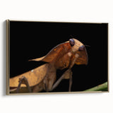 Framed canvas featuring a black and white vintage poster art of birds in landscape, ideal for bedroom wall decor.