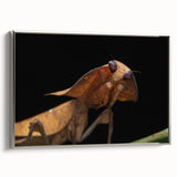 Framed canvas of a landscape art painting featuring a colorful bird in flight against a black background.