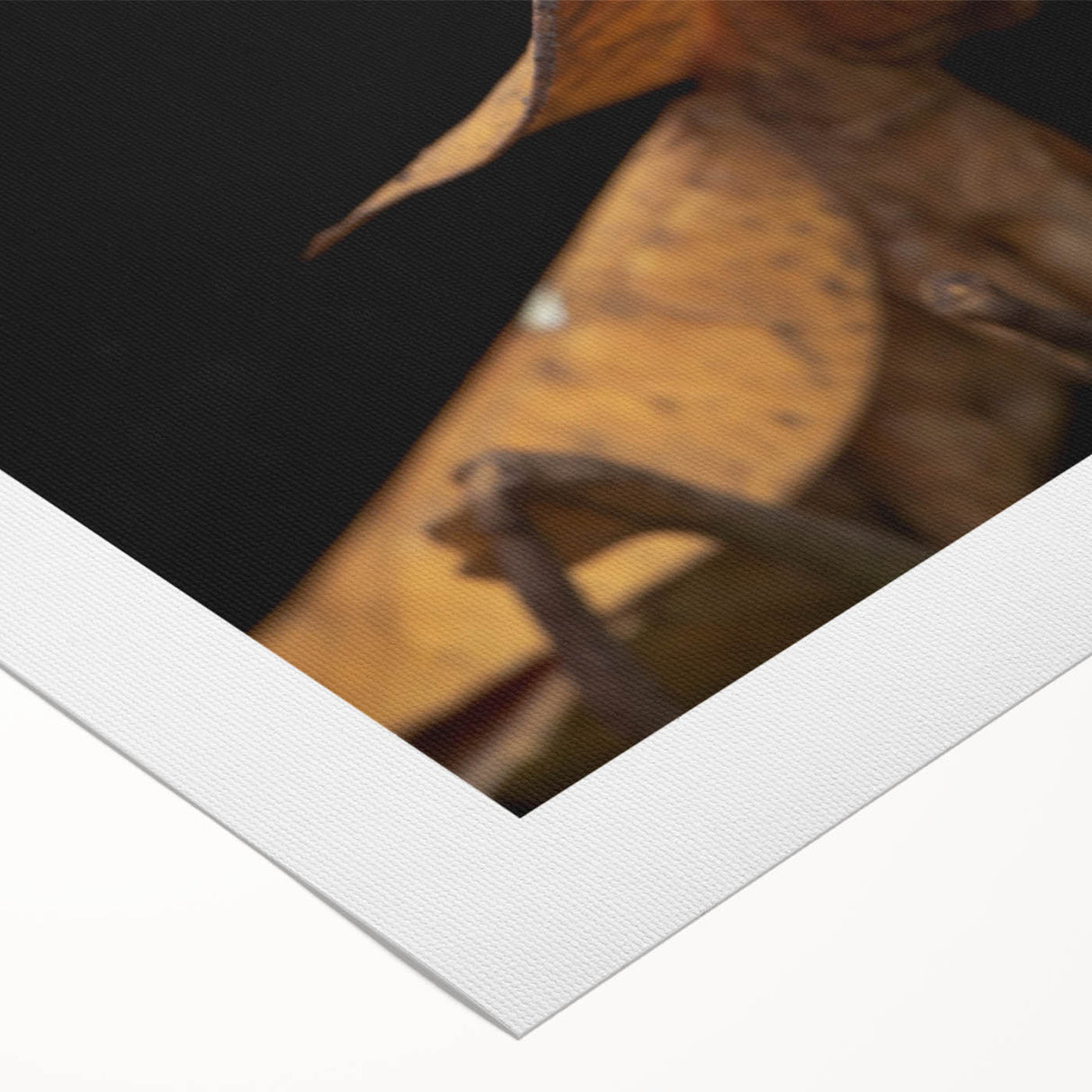 Art deco poster featuring a close-up of a colorful bird on a rolled canvas, suitable for dining room or bathroom wall art.