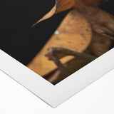 Art deco poster featuring a close-up of a colorful bird on a rolled canvas, suitable for dining room or bathroom wall art.