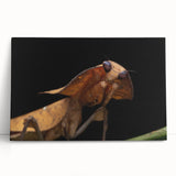 Black and white photo of birds on stretched canvas, ideal for kitchen wall art or bedroom ambiance.