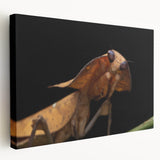 Close-up image of a bird on stretched canvas, featuring earthy green and brown tones, suitable for kitchen wall art.