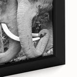 Close-up of a colorful bird on black textured canvas, ideal for extra large living room wall art.