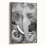 Framed canvas featuring a close-up of a bird in gold, ideal for bedroom wall art with a vintage poster art style.