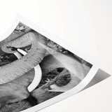 Extra large wall art featuring line art flowers in black and white on a rolled print, suitable for large living room spaces.
