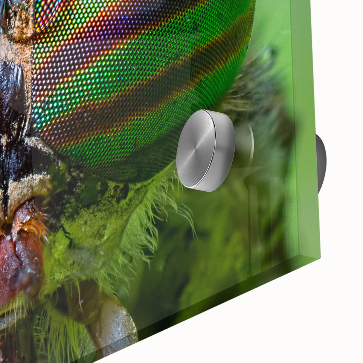 Mid-century modernist large abstract wall art of birds in vibrant colors on acrylic glass, ideal for dining room decor.