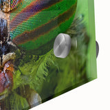 Mid-century modernist large abstract wall art of birds in vibrant colors on acrylic glass, ideal for dining room decor.