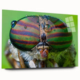 Large abstract wall art of vibrant birds in flight on acrylic glass, suitable for bedroom or dining room decor.