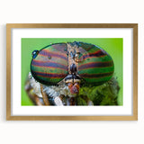 Extra large abstract art print featuring a close-up of birds, in textured gold frame, ideal for living room decor.
