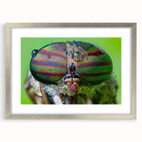 Textured art print of abstract birds in muted earth tones on a silver-framed canvas, ideal for bedroom art.