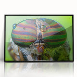 Large abstract wall art featuring mid-century modernist birds in muted earth tones on a black framed acrylic print.