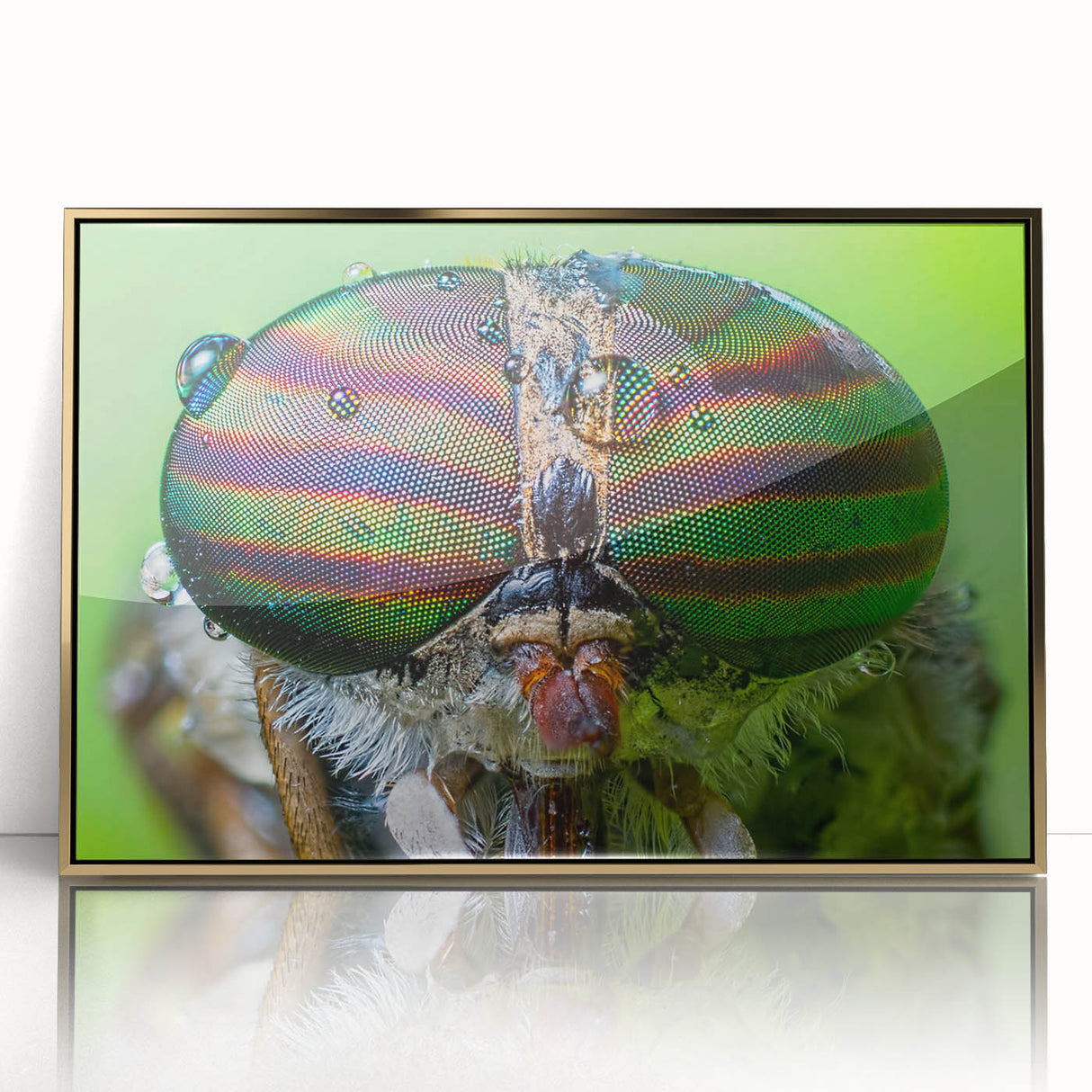 Mid-century modernist style large art print of birds in flight, framed in acrylic with a gold finish.
