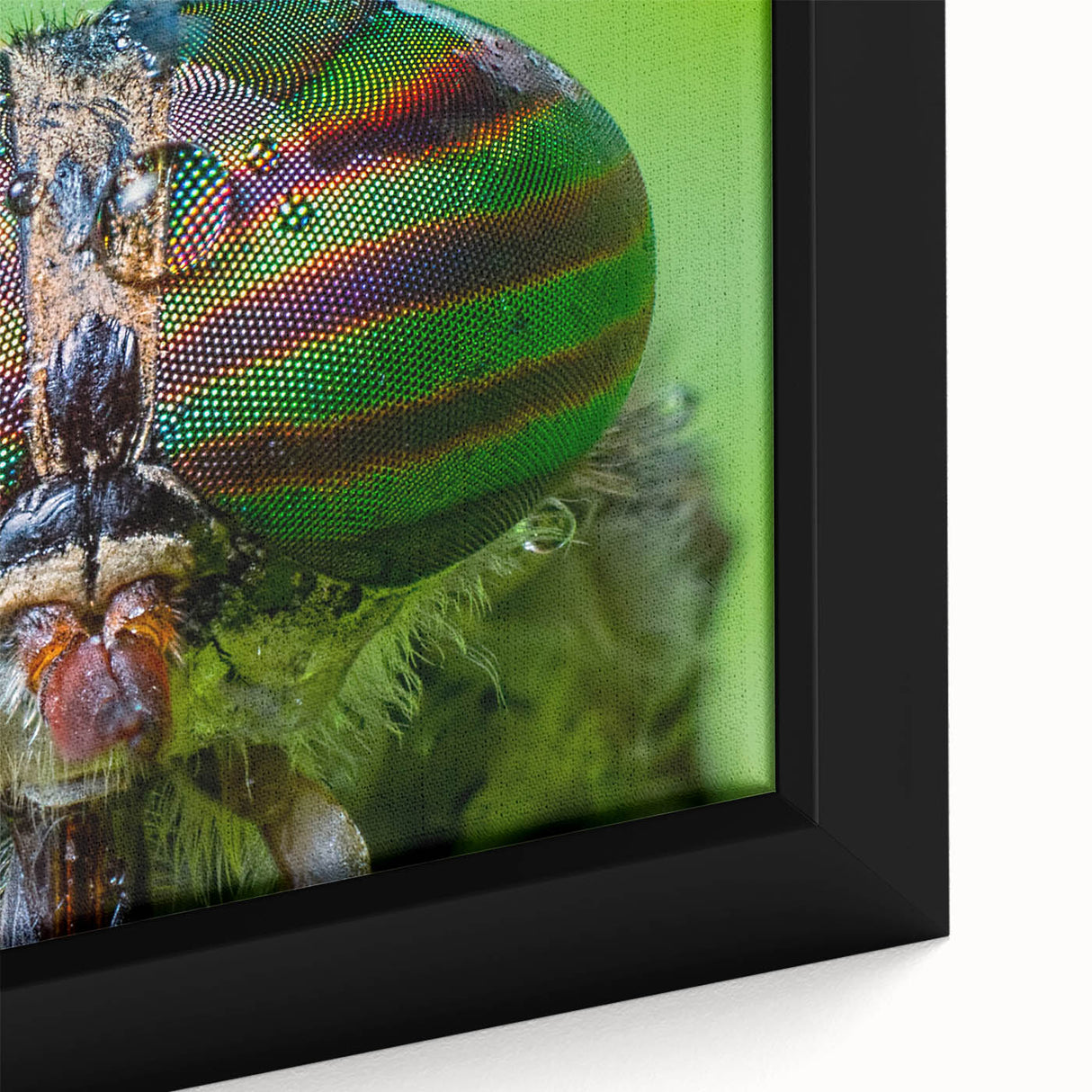 Close-up of a bird depicted in textured, colorful art on a black framed canvas, ideal for living room decor.