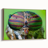 Framed canvas featuring a close-up of a bird in black and gold, ideal for bedroom wall art.