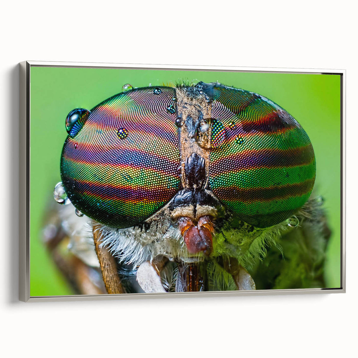 Framed canvas of a colorful landscape art painting featuring vintage poster art of birds.