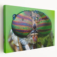 Close-up image of a bird on a stretched canvas, featuring soft gray and white tones, ideal for kitchen wall art.