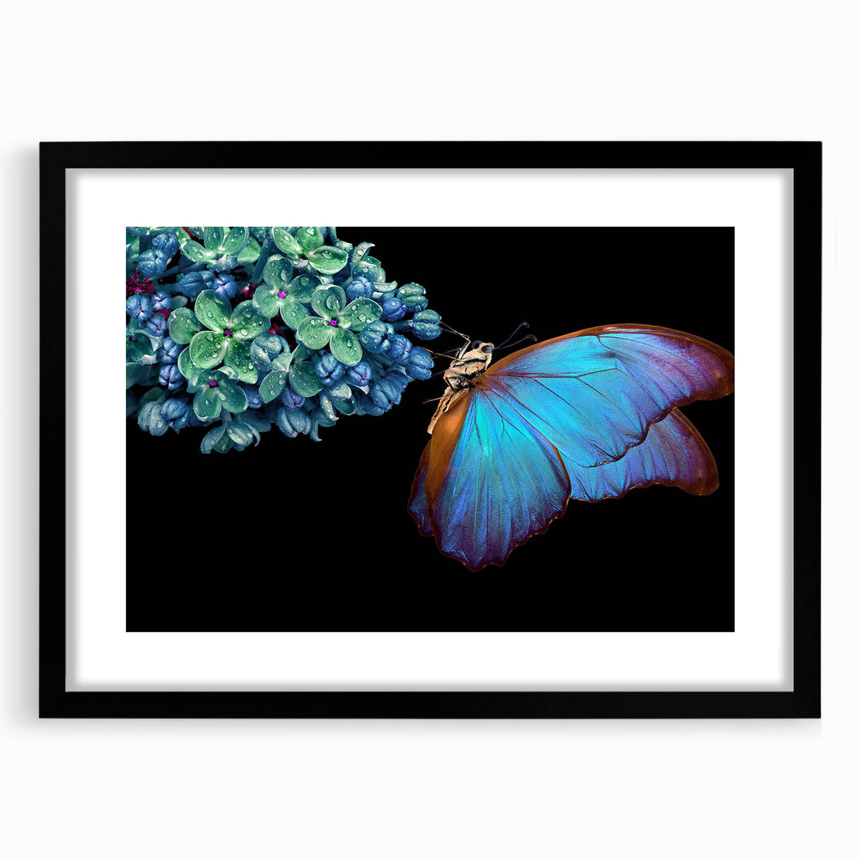 Extra large abstract art print featuring colorful, textured depiction of birds, framed in black, ideal for living room decor.