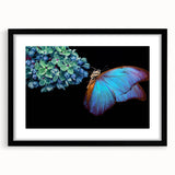 Extra large abstract art print featuring colorful, textured depiction of birds, framed in black, ideal for living room decor.