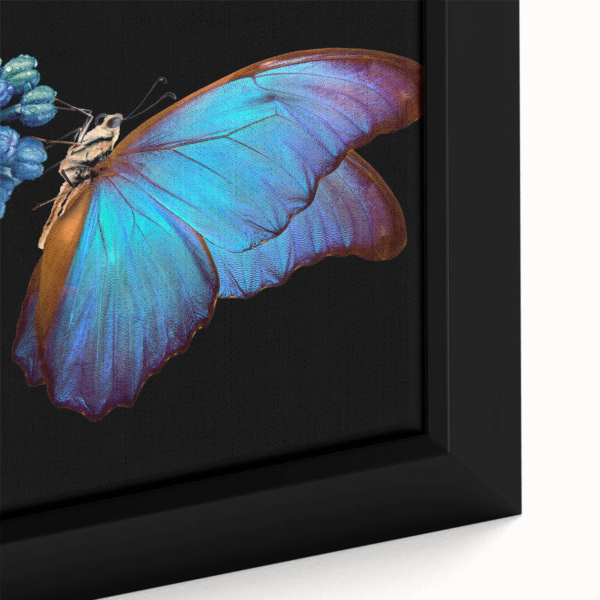 Close-up of a bird on textured canvas, featuring vibrant colors on a black background, ideal for living room decor.