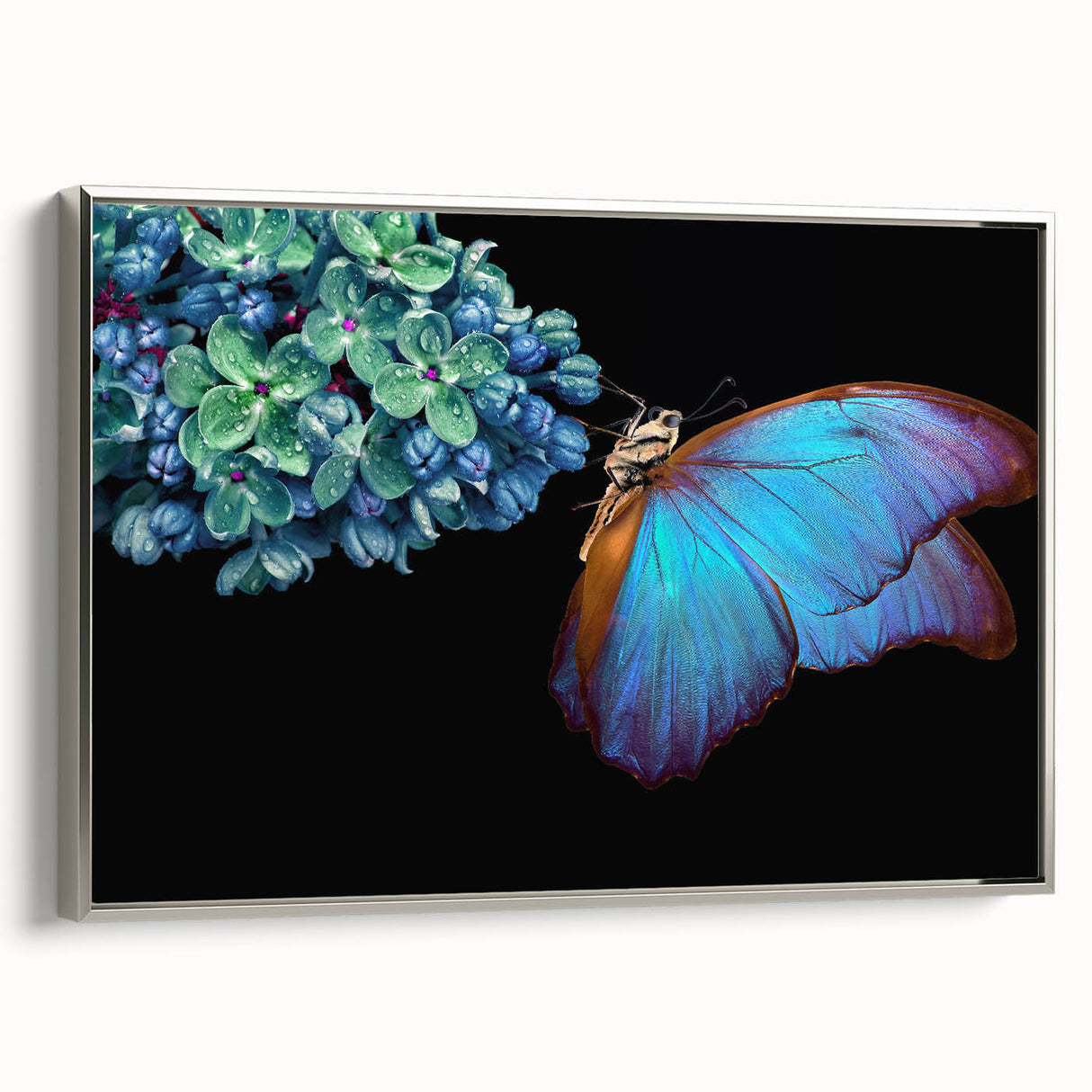 Framed canvas featuring a close-up of a bird in vibrant colors, ideal for adding a pop of color to any room.