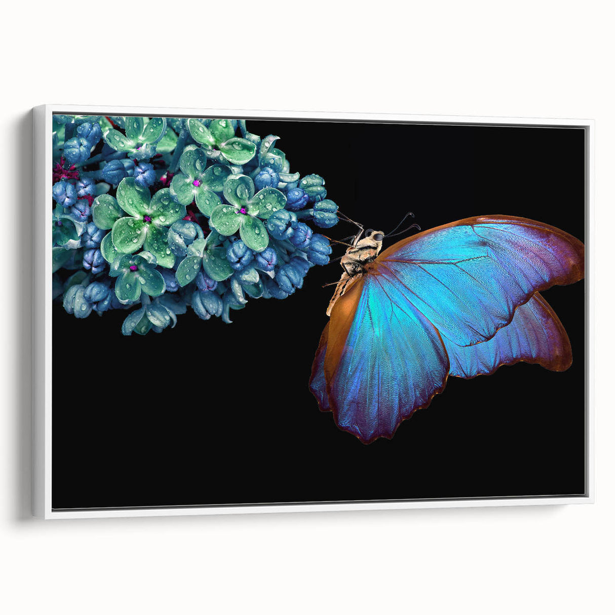 Extra large vintage poster art of colorful birds on a black background, framed canvas, ideal for living room decor.