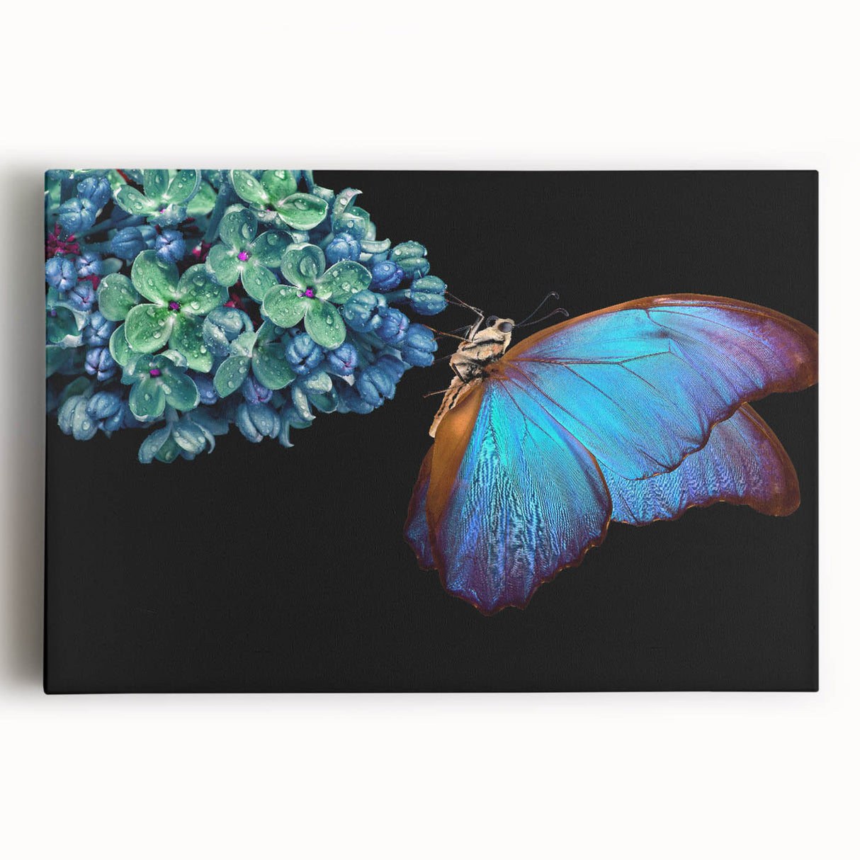 Large black and white photo of a bird in flight on stretched canvas, ideal for kitchen wall art.