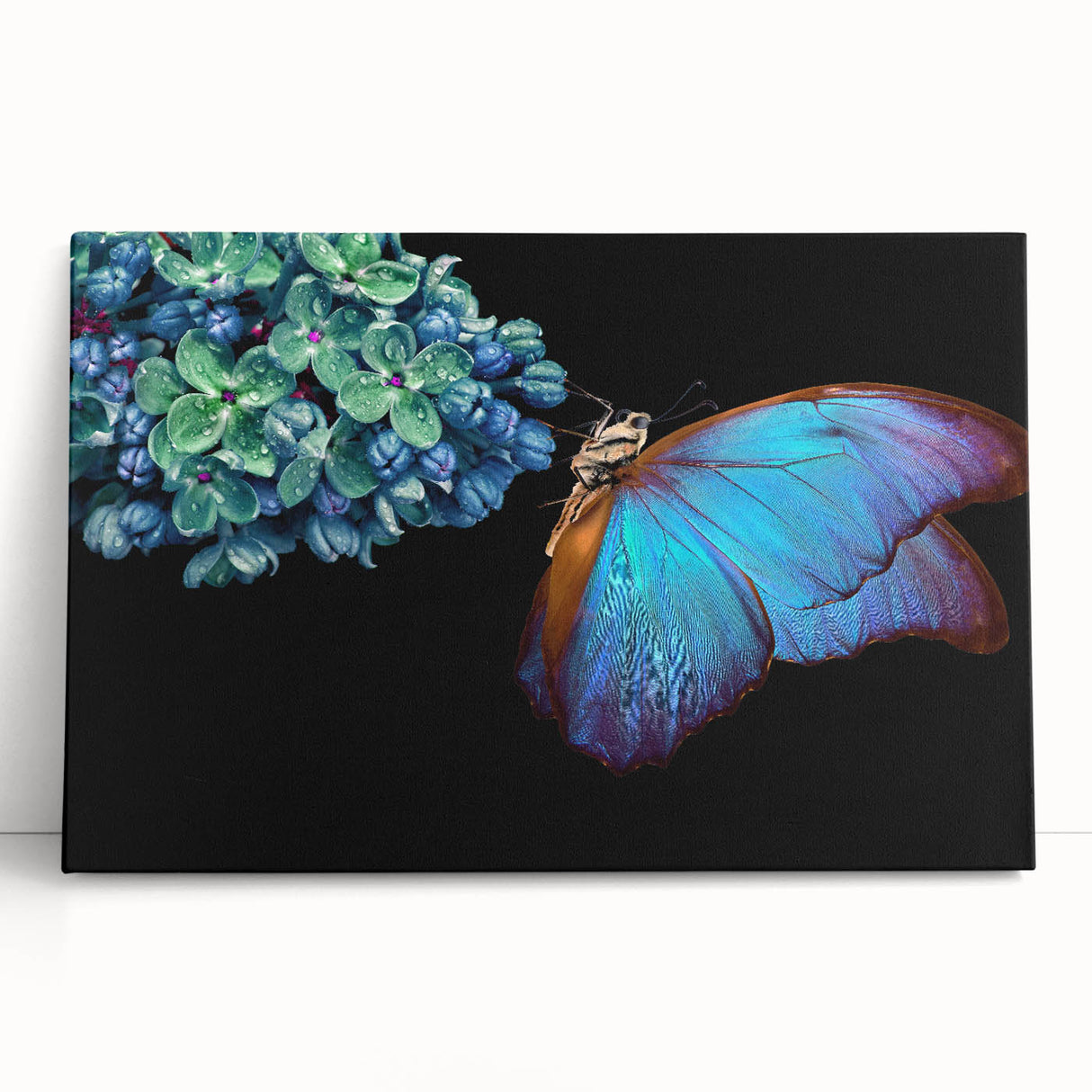 Large black and white photo of a bird on stretched canvas, ideal for kitchen wall art or bedroom decor.