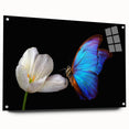 Large abstract wall art of birds in flight, rendered in vibrant blues and greens on acrylic glass.