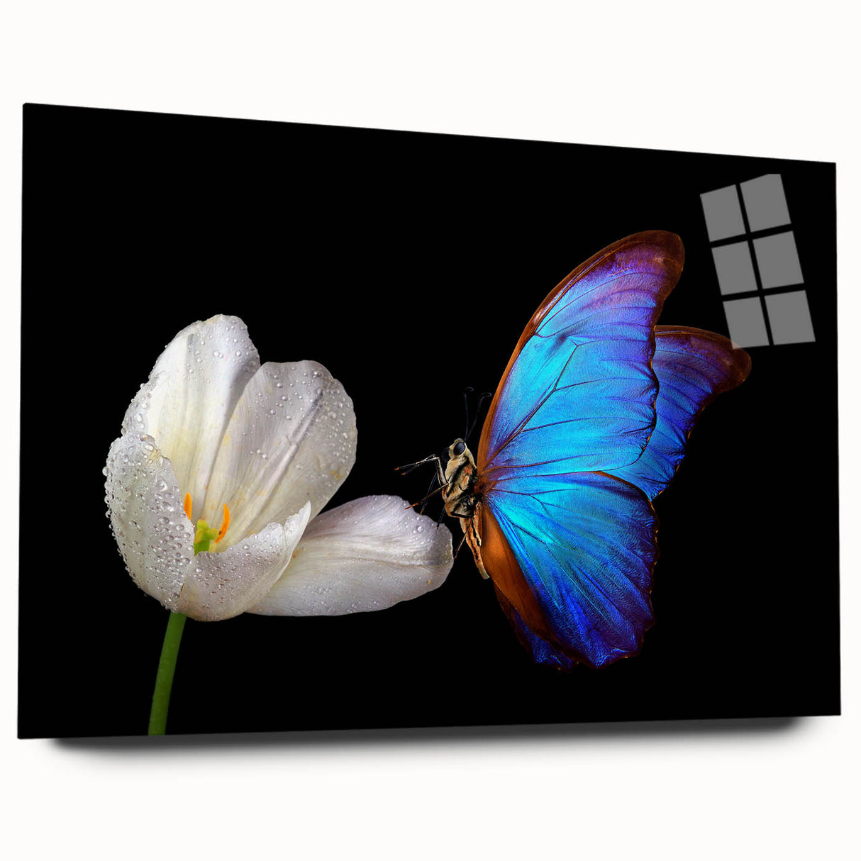 Large abstract wall art featuring a close-up of a bird, rendered in sharp detail on acrylic glass.