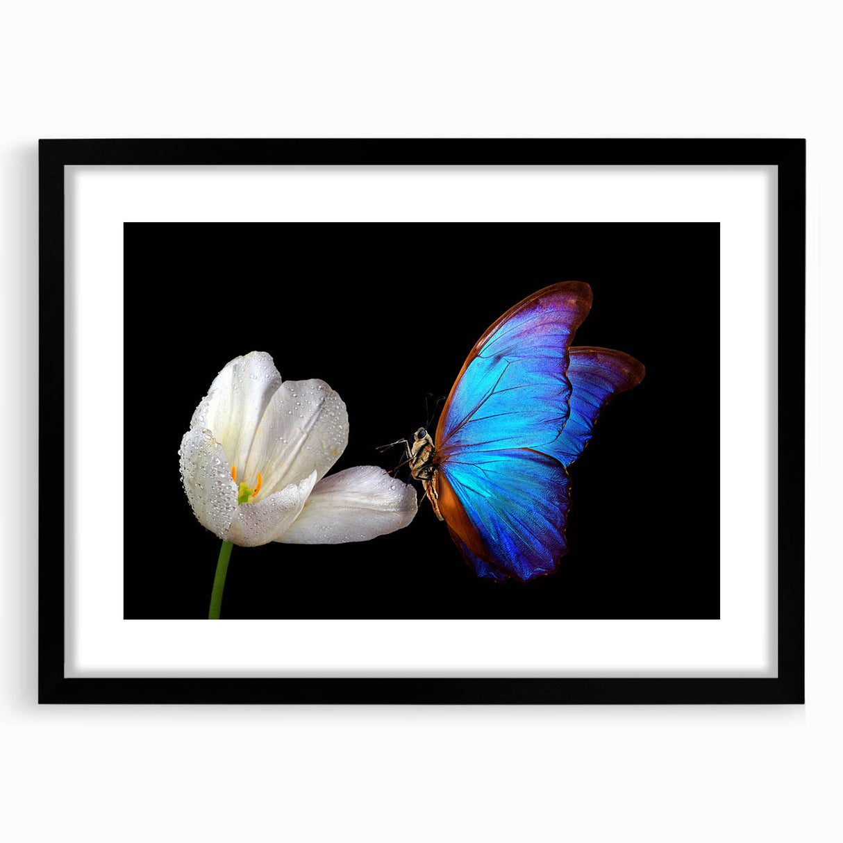 Extra large abstract art print of colorful, textured birds, framed in black, ideal for living room decor.