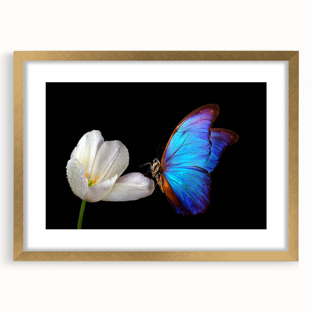 Extra large abstract art print of a bird, with textured design in muted earth tones on a gold-framed canvas.
