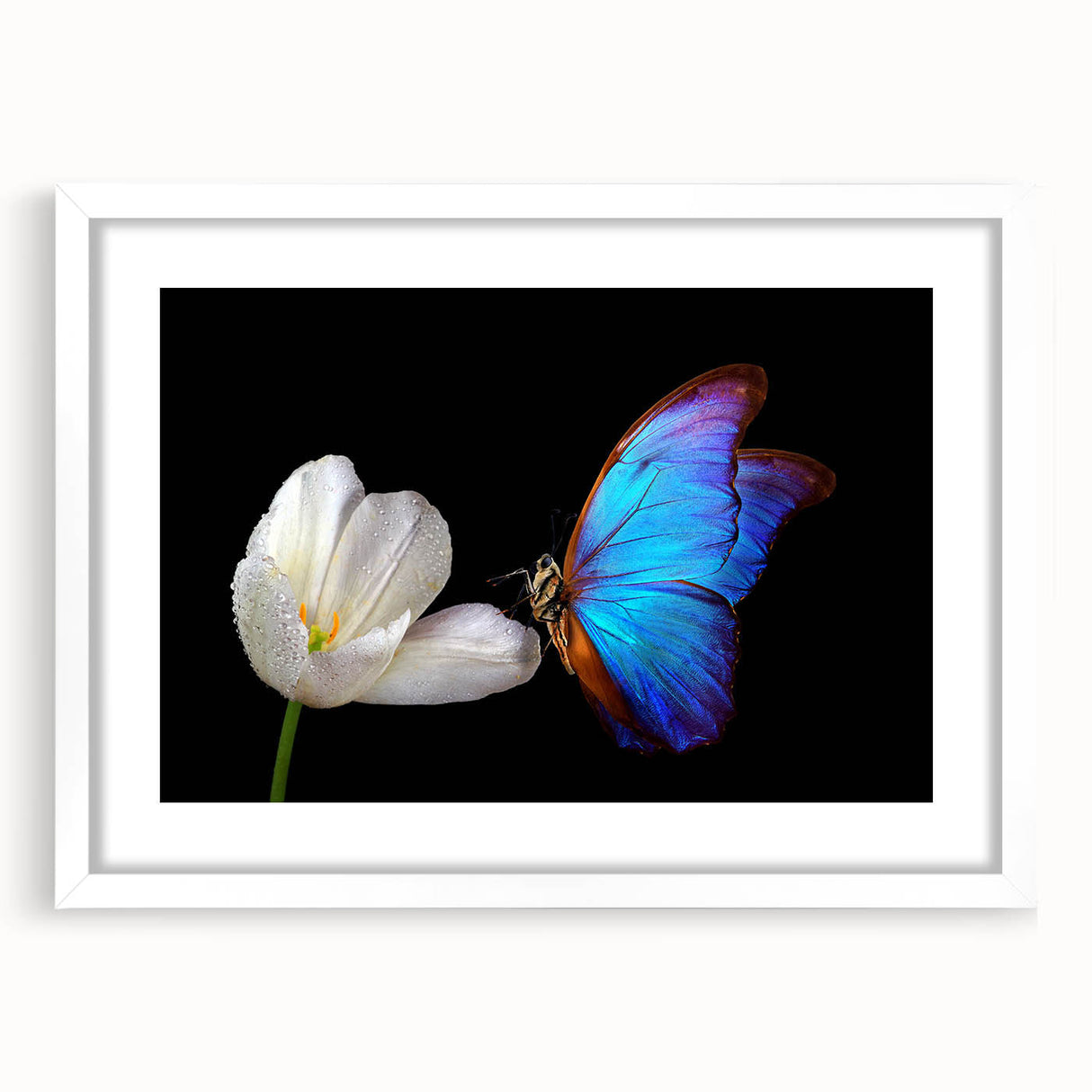 Abstract art print of birds in soft pastel shades on a white framed canvas, suitable for bedroom or dining room decor.