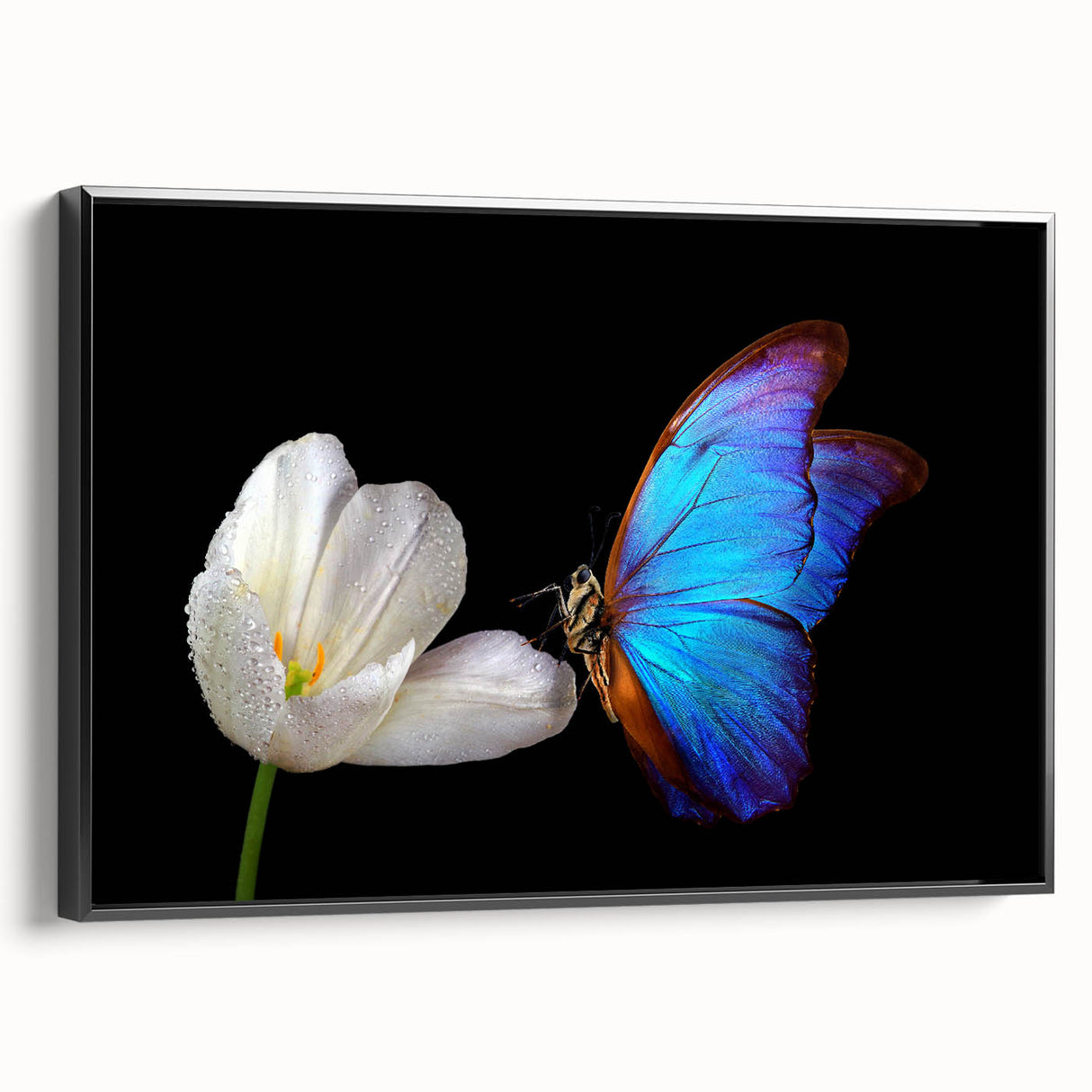 Black and white framed canvas featuring a close-up of birds in flight, ideal for bedroom wall decor.