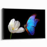 Black and white framed canvas featuring a close-up of birds in flight, ideal for bedroom wall decor.