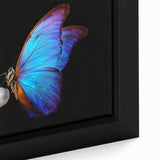 Close-up of a black framed canvas featuring a colorful, textured bird design, ideal for extra large living room wall art.