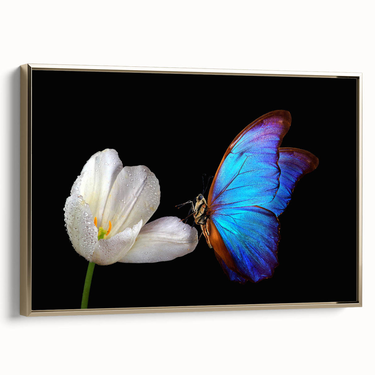 Framed canvas depicting a vintage-style landscape with birds in muted gold and black tones, suitable for bedroom wall art.