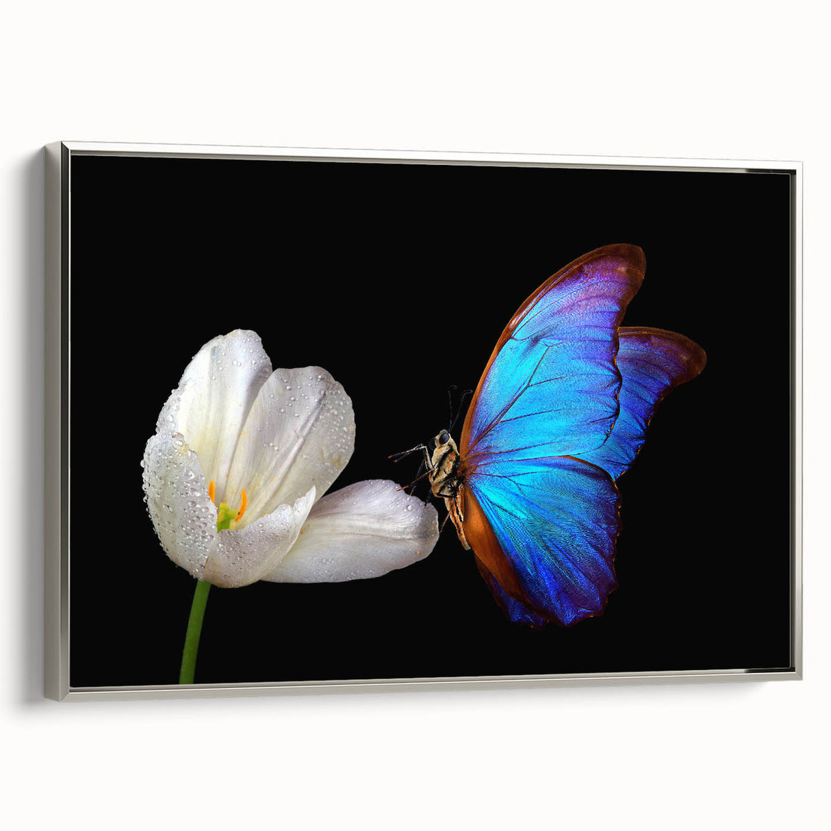 Landscape art painting of colorful birds in flight on a black background, framed canvas, ideal for living room decor.