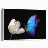 Extra large framed canvas featuring a vintage poster art of colorful birds, ideal for living room decor.