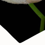 Black and white close-up of a bird on a branch, printed on large stretched canvas, suitable for bedroom wall decor.