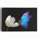 Black and white close-up photograph of a bird on stretched canvas, ideal for kitchen wall art.