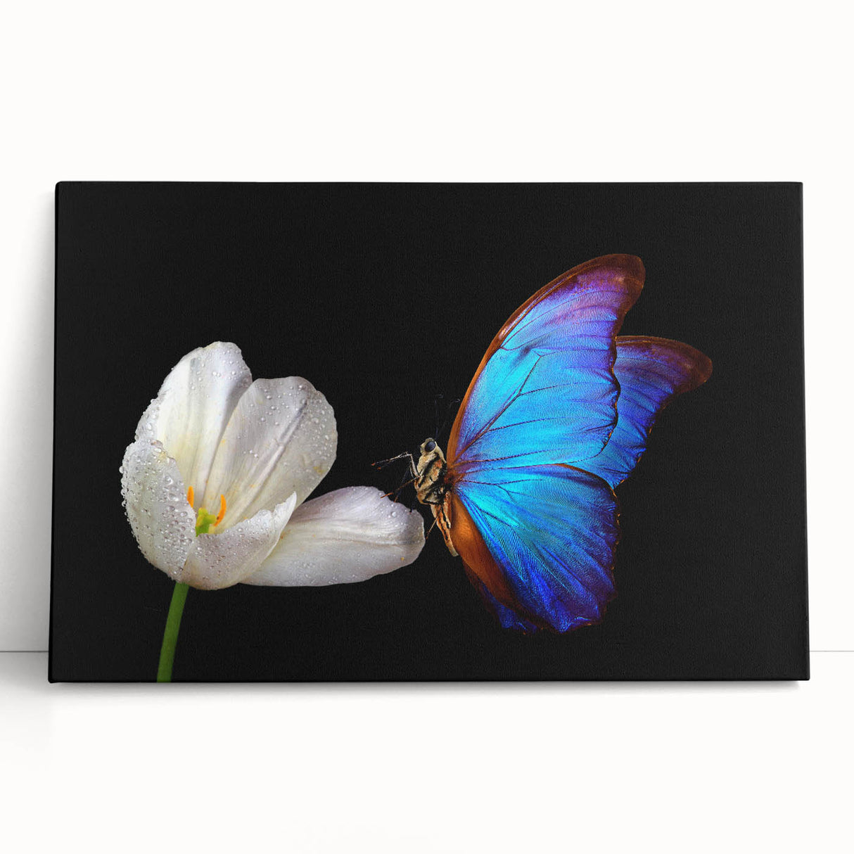 Black and white photo of a bird on stretched canvas, ideal for kitchen wall art or bedroom ambiance.