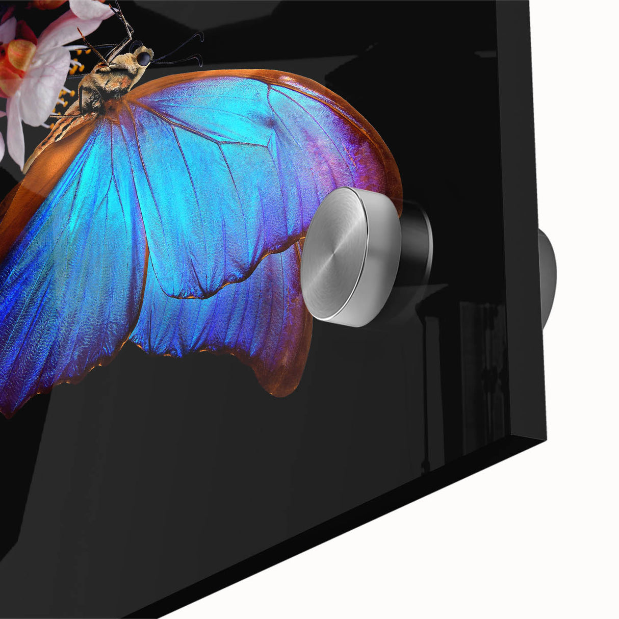 Mid-century modernist art of a bird in flight on large acrylic glass, using abstract style and vibrant hues.