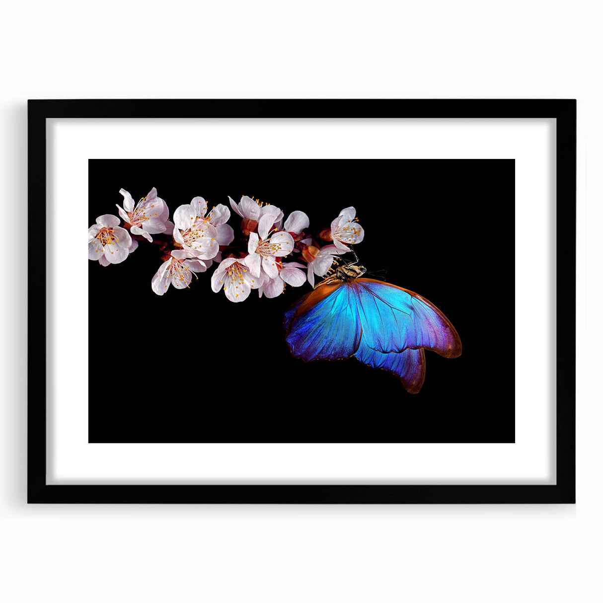 Extra large abstract art print featuring a colorful, textured depiction of birds, in a black frame with mat.
