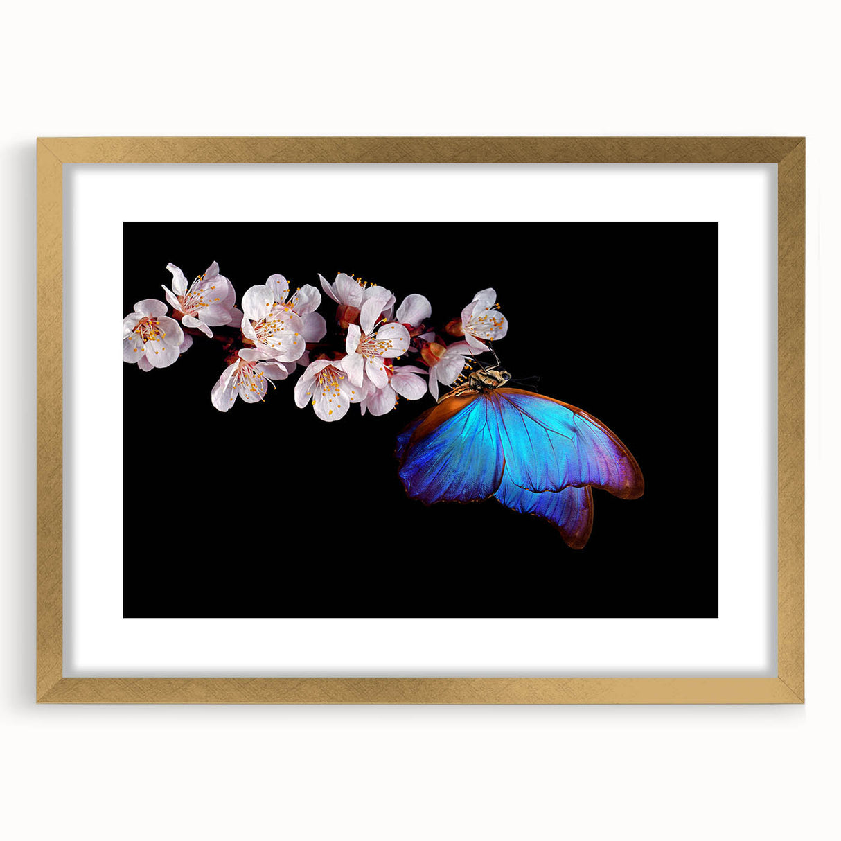 Extra large abstract art print featuring textured bird design in gold frame, suited for living room decor.