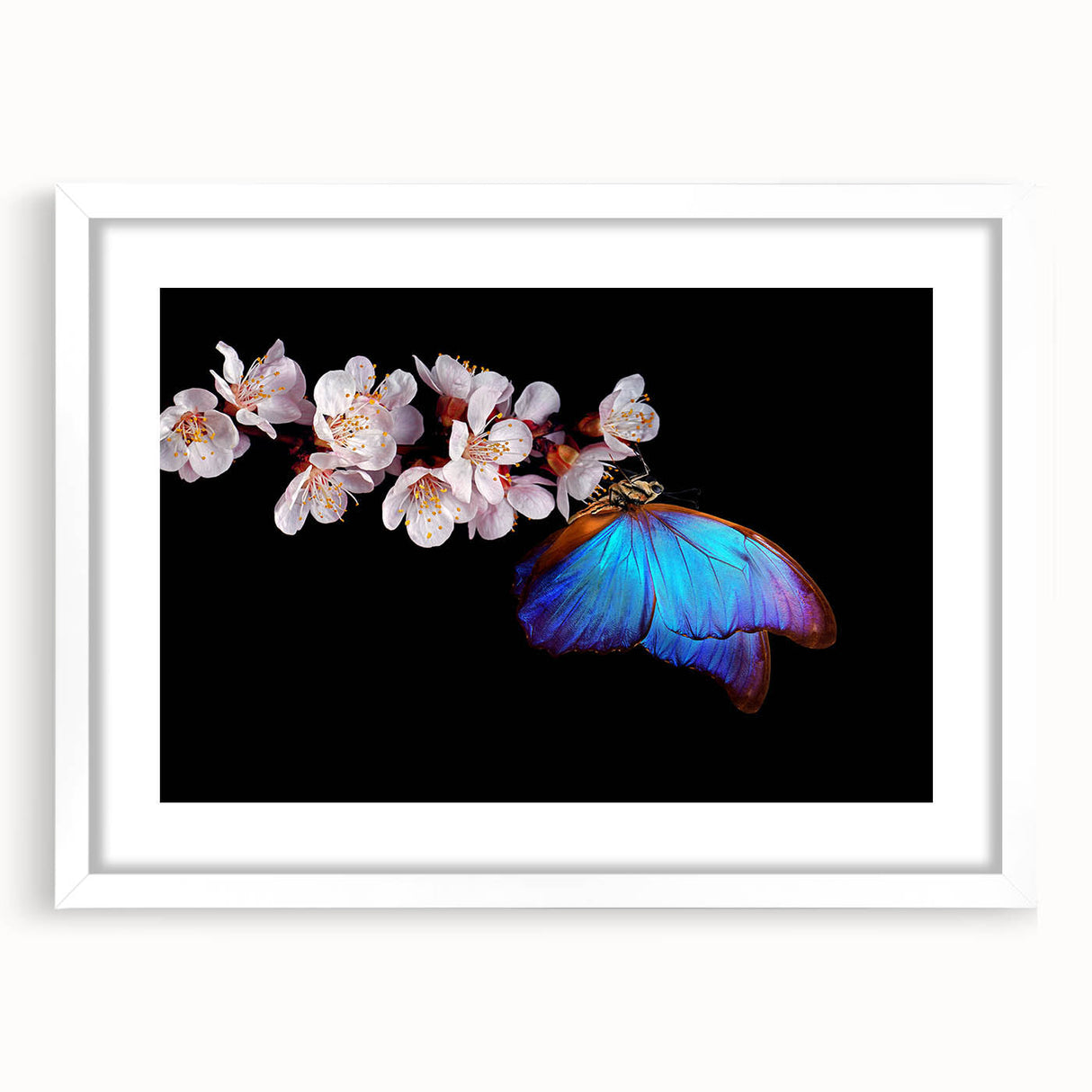 Abstract art print of a vibrant bird, using vivid blue and green hues, framed with a white mat, ideal for dining room decor.