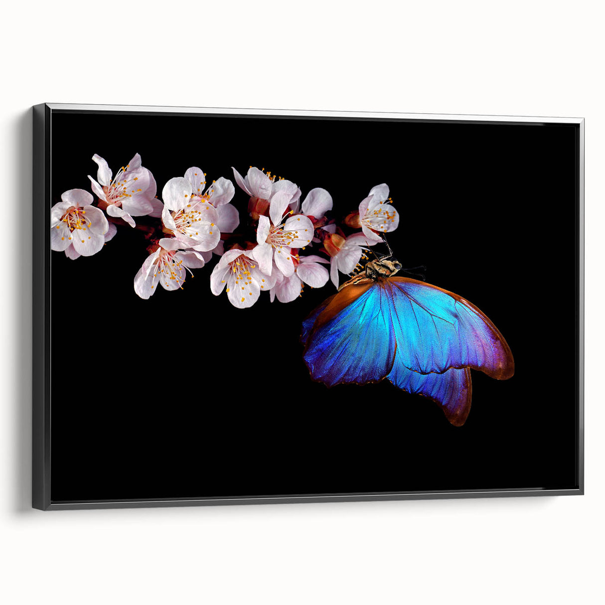 Black and white framed canvas of a bird in flight, ideal for bedroom wall art with a vintage poster style.