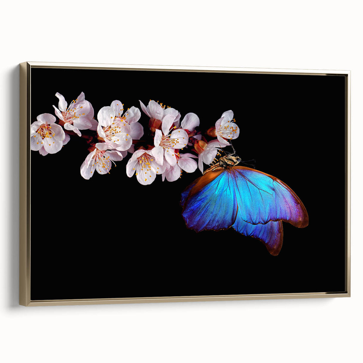 Framed canvas featuring a detailed black and white vintage poster art of birds, ideal for bedroom wall art.