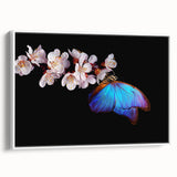 Vintage poster art of colorful birds on a black background, framed canvas, ideal for living room decor.