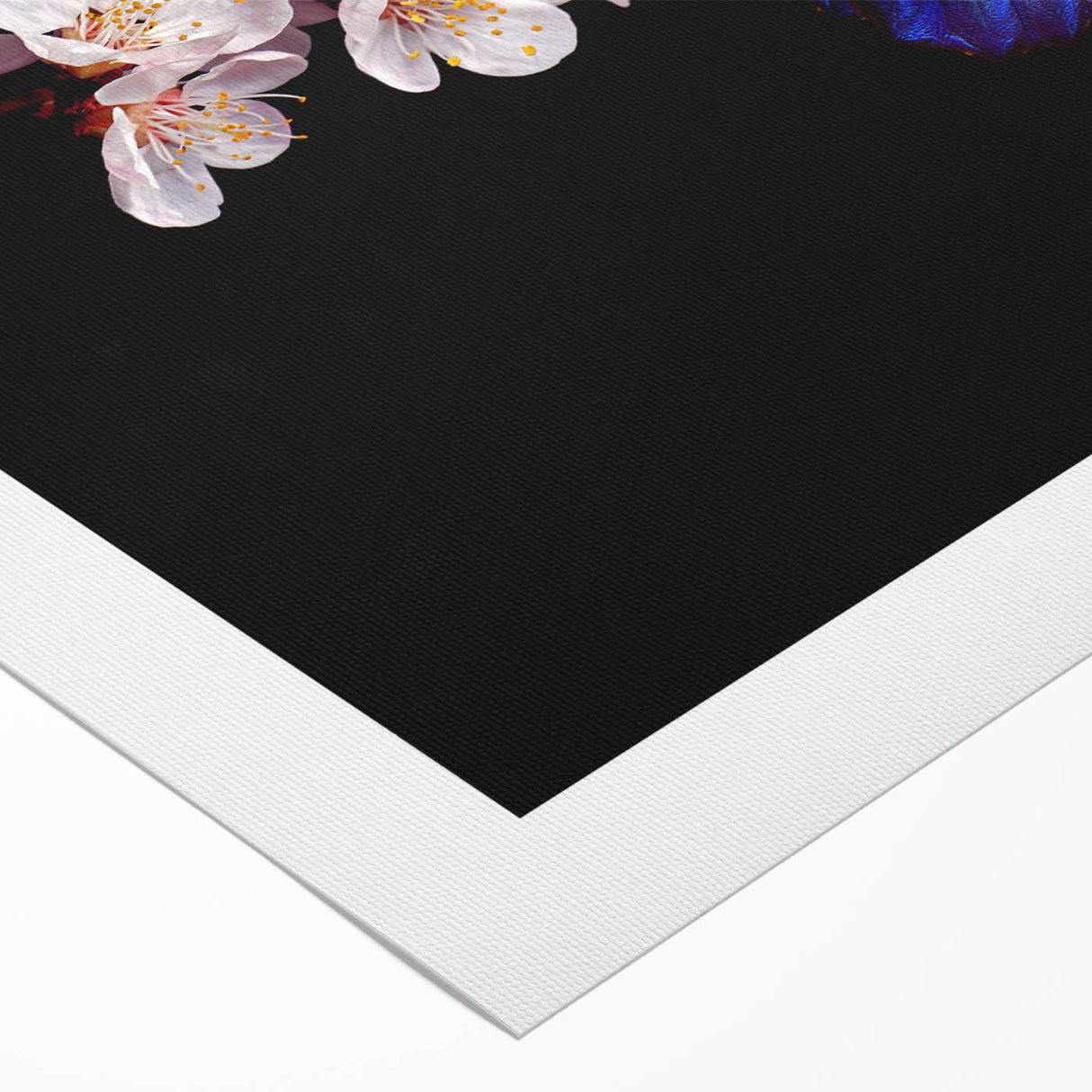 Art deco poster of vibrant, stylized birds on a rolled canvas, suitable for dining room or bathroom wall art.