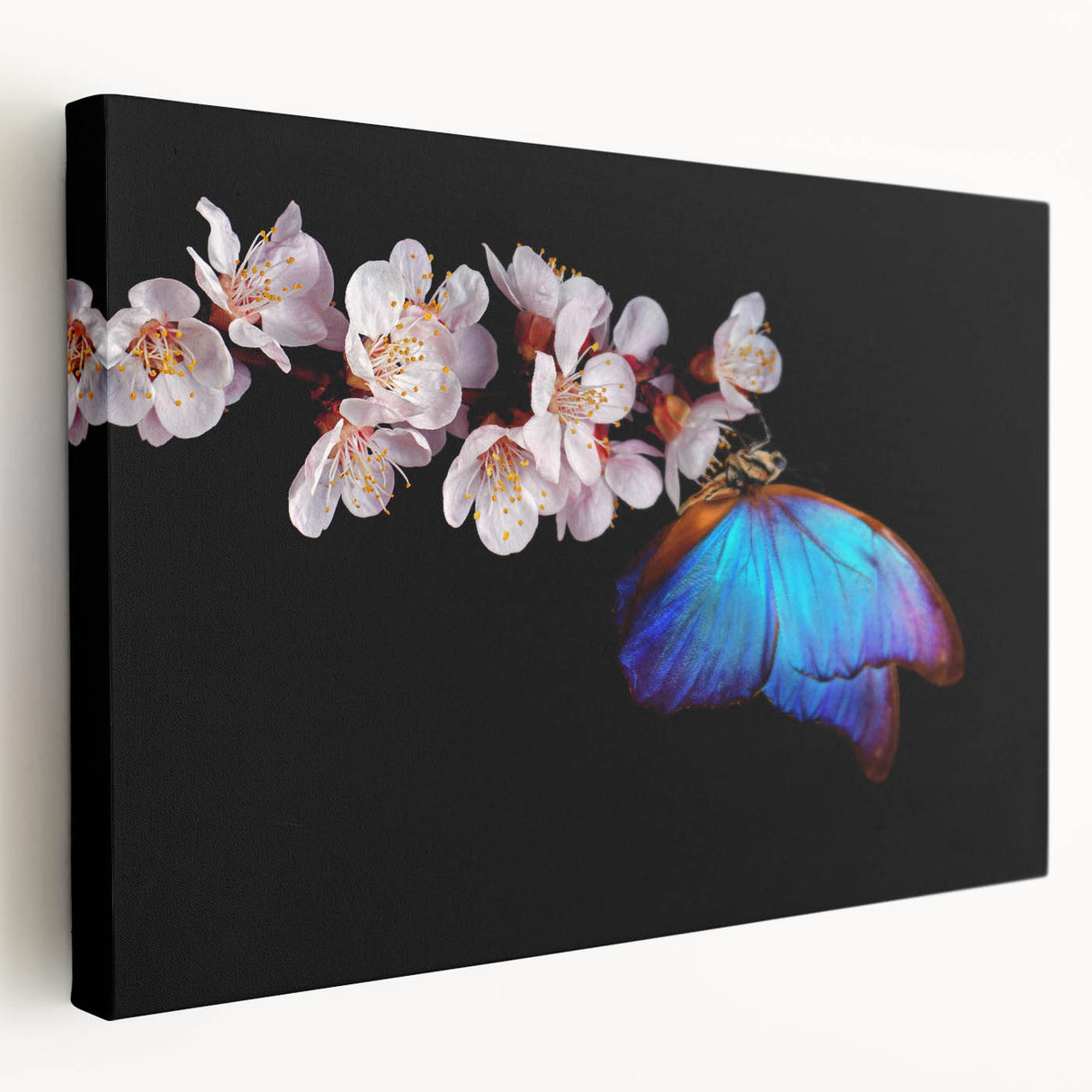 Close-up of a bird in muted earth tones on a stretched canvas, ideal for kitchen wall art.